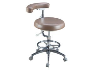 Deluxe Assistant Stool