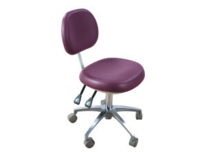 Deluxe Doctor Stool