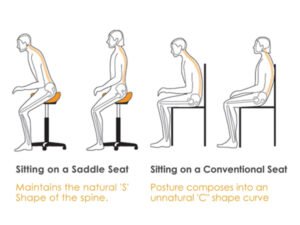 Saddle Stool with Backrest – FSSAD-605